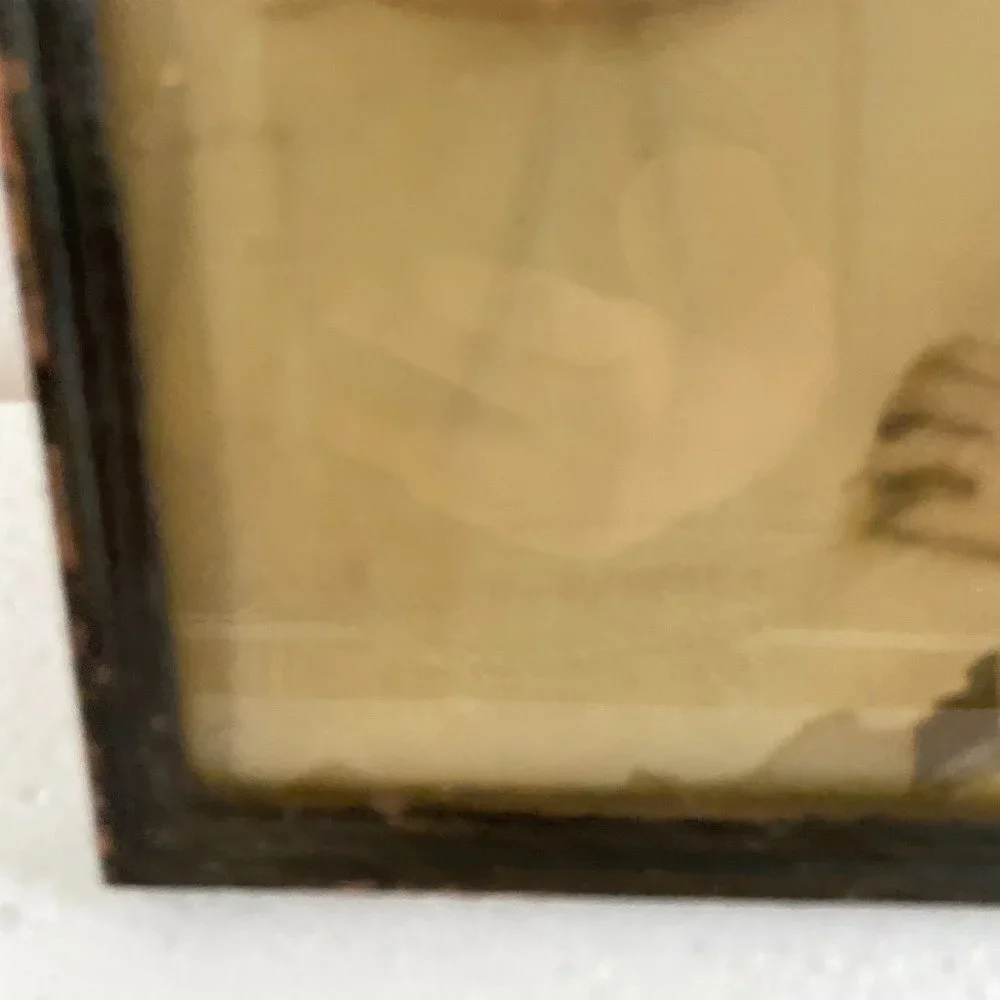 Antique Portrait 2 Girls Baby Photo 1895s - 1900s
